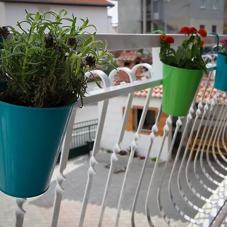 Roka Apartment Split